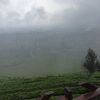 imulya68