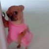 usernameig2344