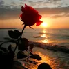 aliadnan_19_