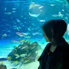 usaira_khai