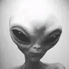 alien.sincero