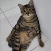 farhannzhxx