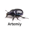 artemiy5822