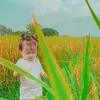 baohan_3004