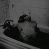 soullhx.04