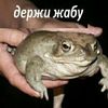 pymba4441
