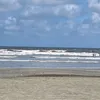 marysobezak