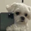 binnie.cloud