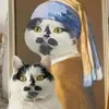 meowgimeow