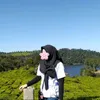 auramlnd