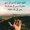 hamed.768