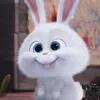 bunnyluf