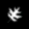 fractel