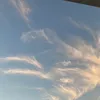 naoseieu1