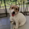 leojackrussel08