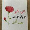 shery.nagy
