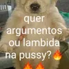 tayiorswiftgay