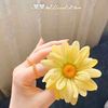 alshaima00