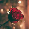 leahsimith22