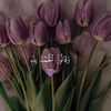 nabela12340
