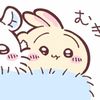 momomo_ni