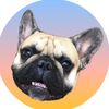 benniethefrench