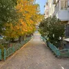 insta_p39c