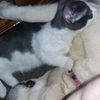 deborahwilson21