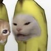 meoweowmeowmeowmeow1