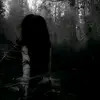 fuckinglier_