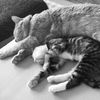 fullofmoxie