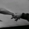 wo.adelina