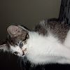 kenney_5321