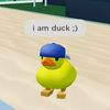 duckieeduckss