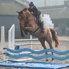 charlaceyshowjumping