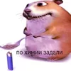 blblblblbllllll