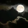 elsaalves63