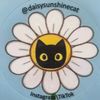 daisysunshinecat