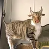 ouulll