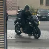 leodeharo