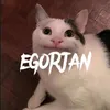 egorjan00