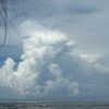 neirys_15