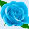 blueeey77