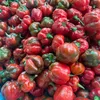 mesamin_29091990