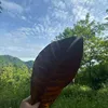 amber_dntn