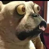 jokeytin