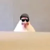 hoodini223