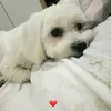 wazonix_i_uki