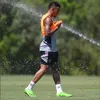 salmonm17