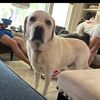 sam_morris0909